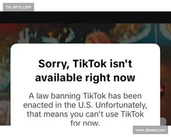 美国TikTok禁令:其他应用也有风险吗? 美国TikTok禁令:其他应用也有风险吗?