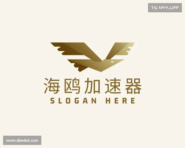 解读海鸥加速器